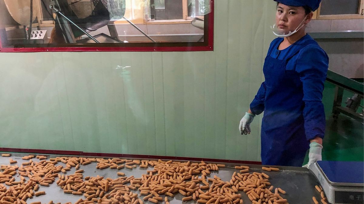 Severokorejští dělníci v Rusku se doslechli, že je mají poslat na Ukrajinu, tak prchají
